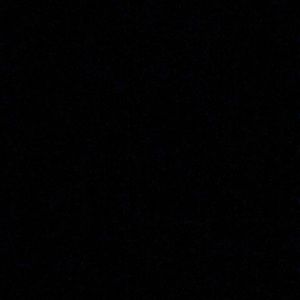 Meet your Posher, Ani